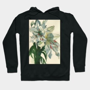 White lilies watercolour painting Hoodie